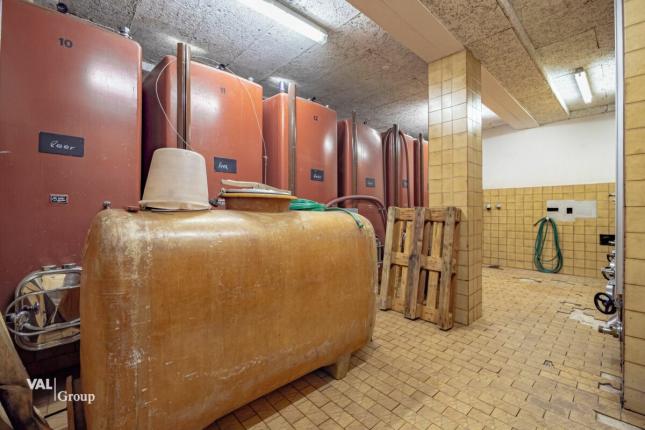 Handel/Industrie zu verkaufen in Salgesch (16)