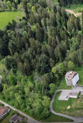 Wohnung zu verkaufen in Les Hauts-Geneveys (12)