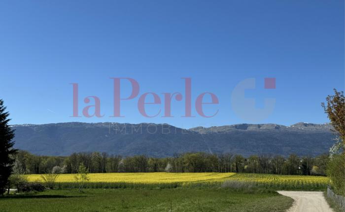 Appartement à vendre à Cointrin
