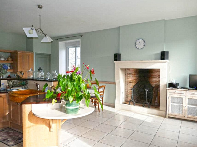 Casa in vendita a Montmorillon - Castello in vendita a Montmorillon, 16 locali, 450 m2 - Smart Propylaia (3)