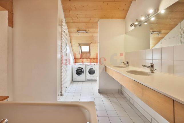 Maison à vendre à La Plaine (12)