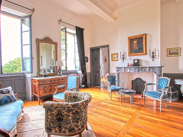 Maison à vendre à Albi - Château à vendre à Albi, 16 pièces, 1100 m2 - Smart Propylaia (3)