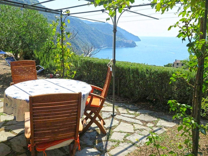 Agriculture for sale in Corniglia - Smart Propylaia (2)