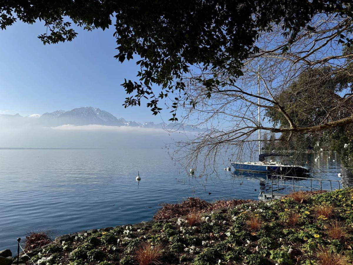 A louer   Suisse - partenariat avec Smart-Propylaia Portail Immobilier