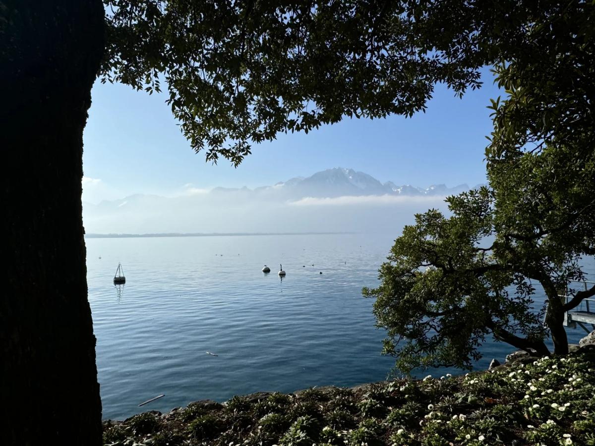 A louer   Suisse - partenariat avec Smart-Propylaia Portail Immobilier