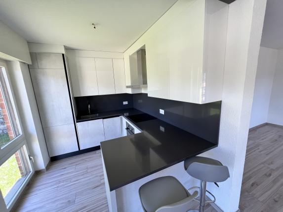 Appartamento in vendita a Lugano (7)