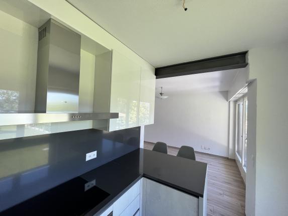 Appartamento in vendita a Lugano (10)