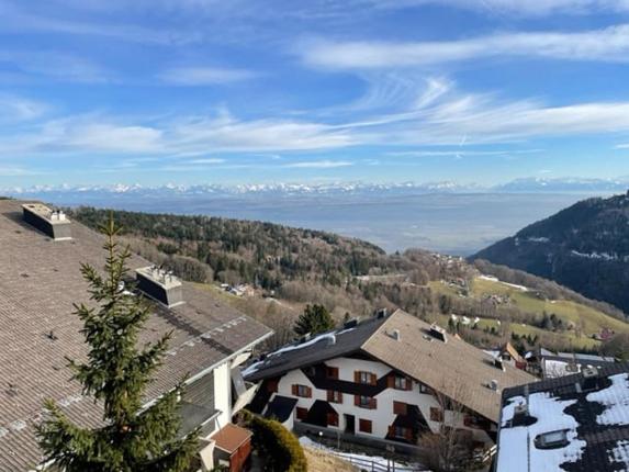 Wohnung zu verkaufen in Ste-Croix (4)