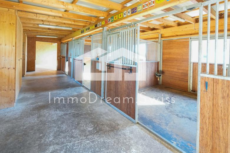 Haus zu verkaufen in Reitnau - Smart Propylaia (4)
