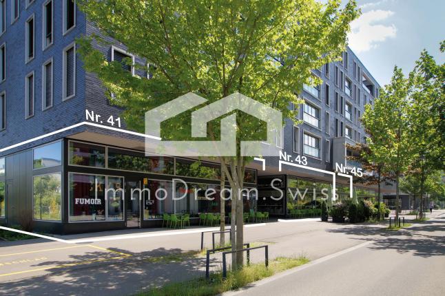 Handel/Industrie zu verkaufen in Opfikon (6)