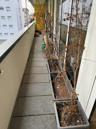 Appartement à vendre à Mendrisio (17)