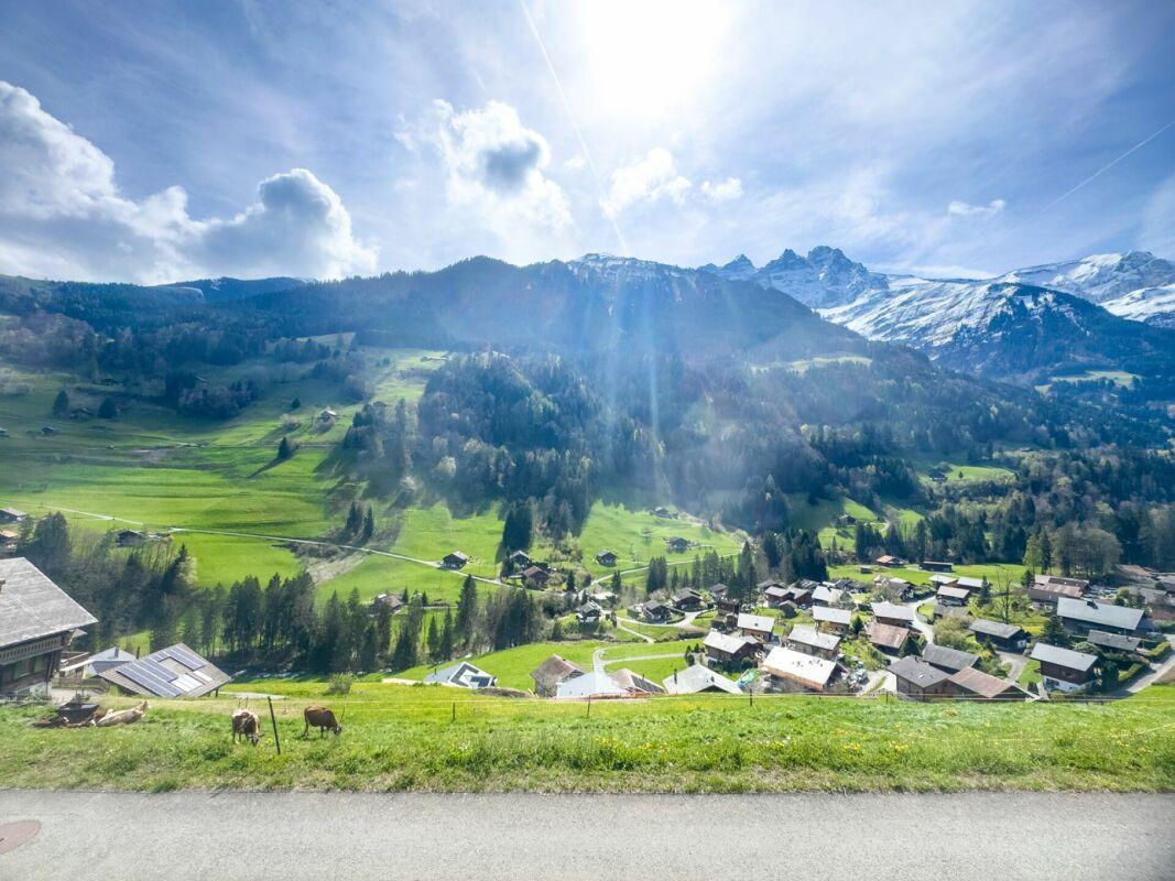 A vendre   Suisse - partenariat avec Smart-Propylaia Portail Immobilier