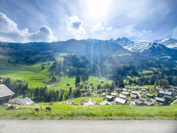 Wohnung zu verkaufen in Val-d'Illiez (49)
