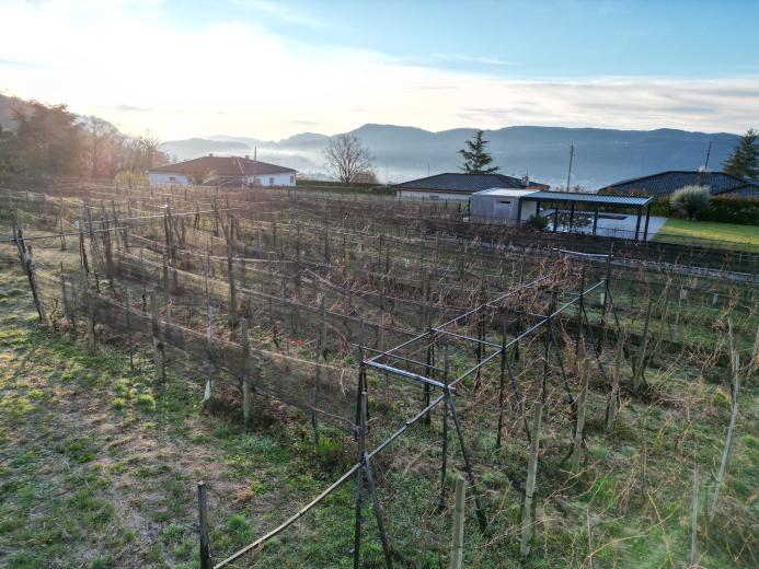 Haus zu verkaufen in Mendrisio - Smart Propylaia (4)