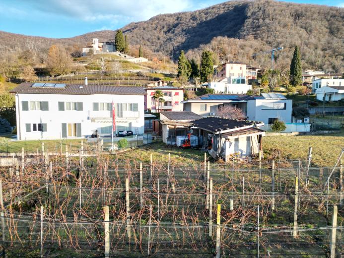 Haus zu verkaufen in Mendrisio - Smart Propylaia (5)