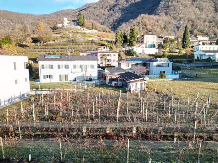 Haus zu verkaufen in Mendrisio - BAUGRUNDSTÜCK IN CASTEL SAN PIETRO MIT GENEHMIGTEM PROJEKT – IHR TRAUM VOM MODERNEN ZUHAUSE - Smart Propylaia (6)