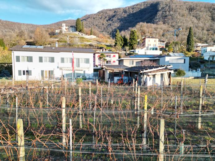 Haus zu verkaufen in Mendrisio - Smart Propylaia (8)