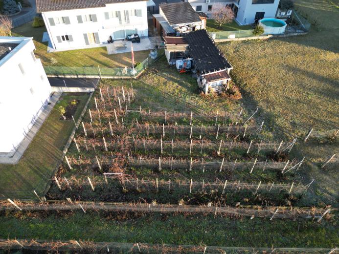 Haus zu verkaufen in Mendrisio - BAUGRUNDSTÜCK IN CASTEL SAN PIETRO MIT GENEHMIGTEM PROJEKT – IHR TRAUM VOM MODERNEN ZUHAUSE - Smart Propylaia (9)