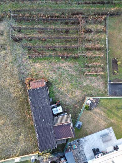 Haus zu verkaufen in Mendrisio - BAUGRUNDSTÜCK IN CASTEL SAN PIETRO MIT GENEHMIGTEM PROJEKT – IHR TRAUM VOM MODERNEN ZUHAUSE - Smart Propylaia (12)