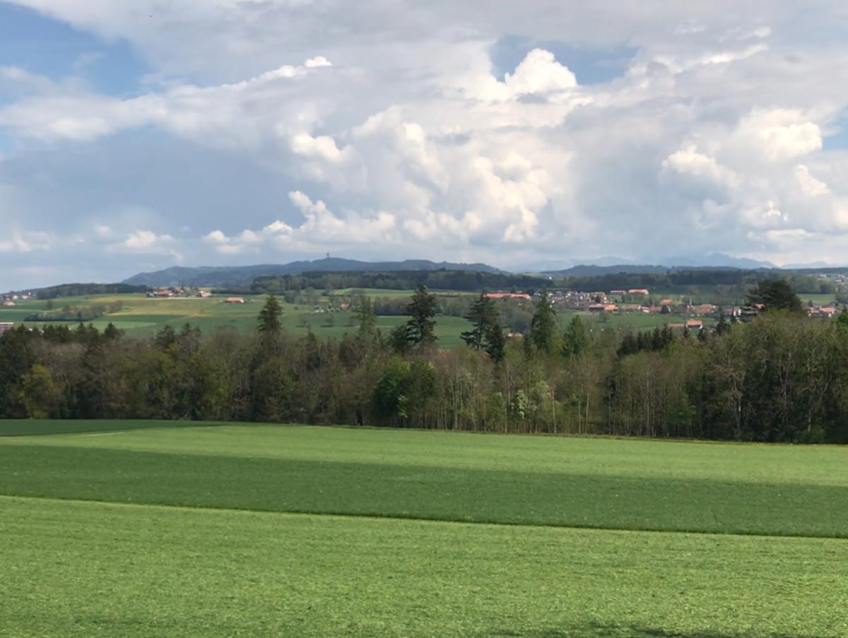 A vendre   Suisse - cChic-immoHub votre portail immobilier