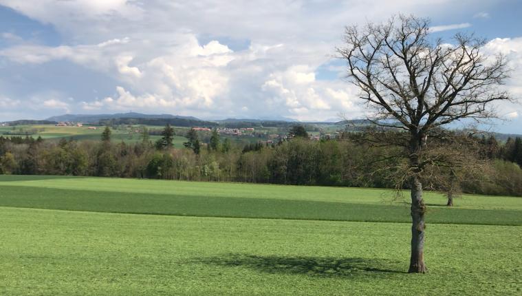 House for sale in Romont FR (9)