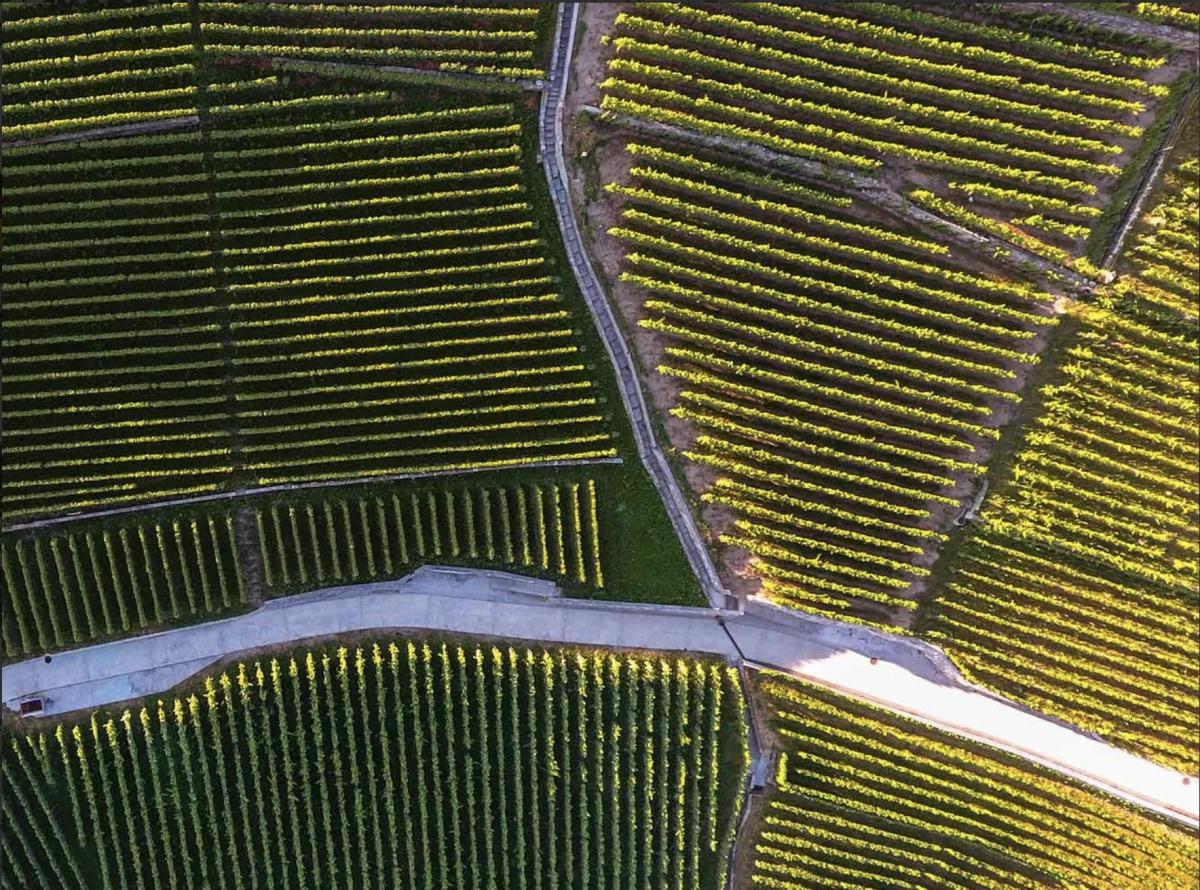 A vendre   Suisse - partenariat avec Smart-Propylaia Portail Immobilier