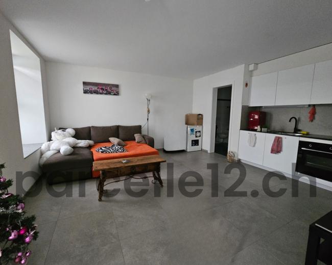 Maison à vendre à Villars-le-Grand - immeuble de 3 grands appartements - Smart Propylaia (3)