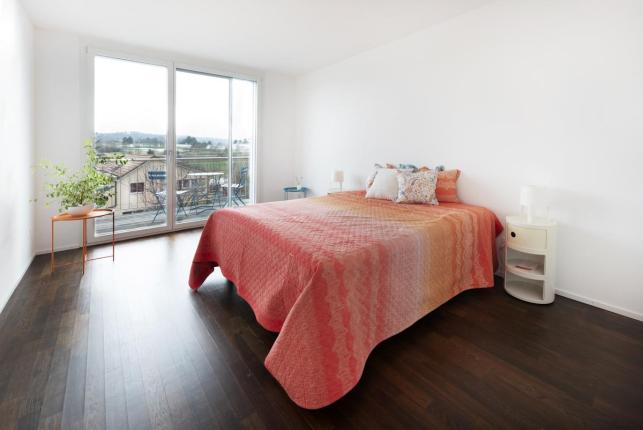 Maison à vendre à Fribourg (7)