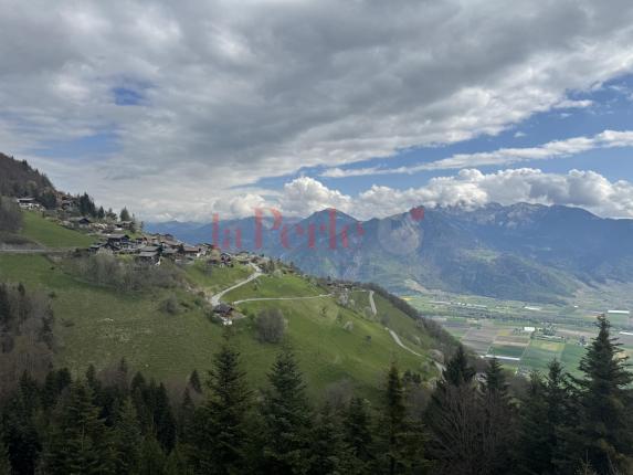 Appartamento in vendita a Torgon (10)