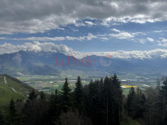 Appartamento in vendita a Torgon (11)