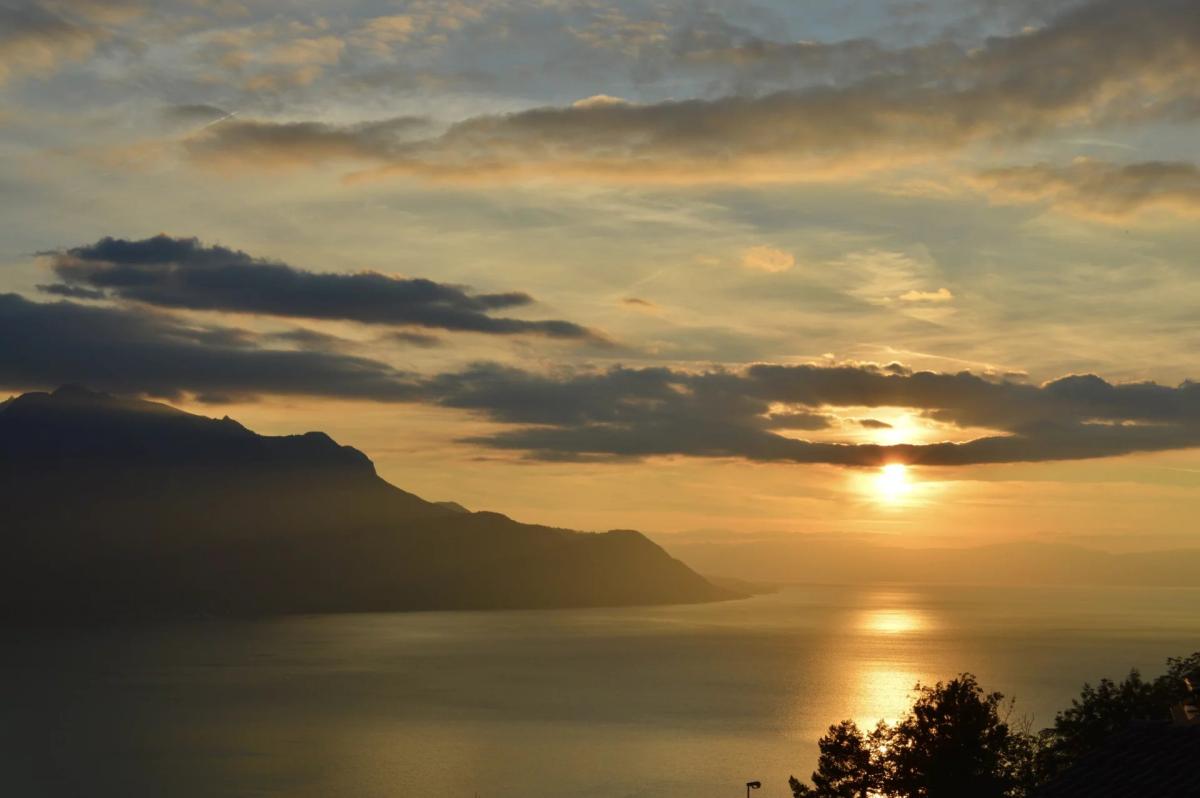 A vendre   Suisse - partenariat avec Smart-Propylaia Portail Immobilier