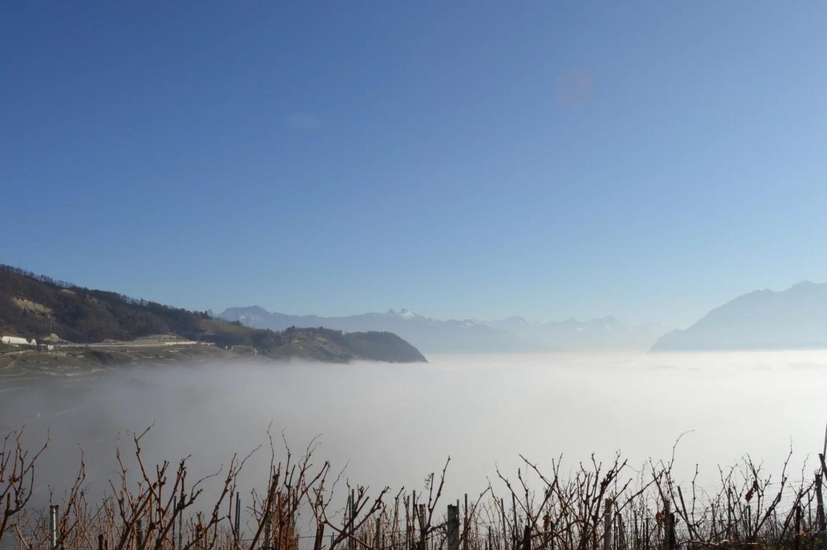 A vendre   Suisse - partenariat avec Smart-Propylaia Portail Immobilier