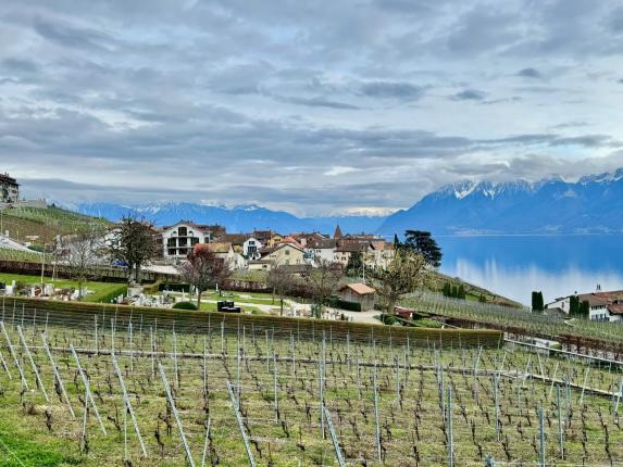 Casa in vendita a Grandvaux (59)