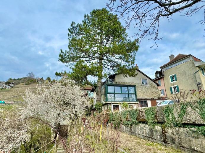Casa in vendita a Grandvaux - Smart Propylaia (64)