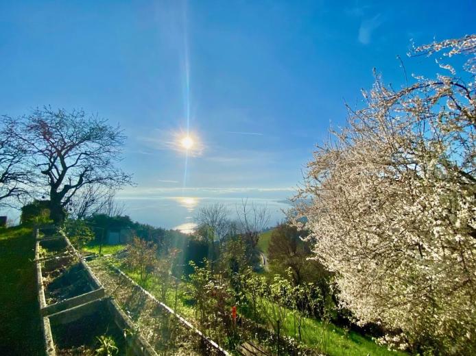 Casa in vendita a Grandvaux - Casa unifamiliare in vendita a Grandvaux, 4.5 locali, 206 m2 - Smart Propylaia (72)