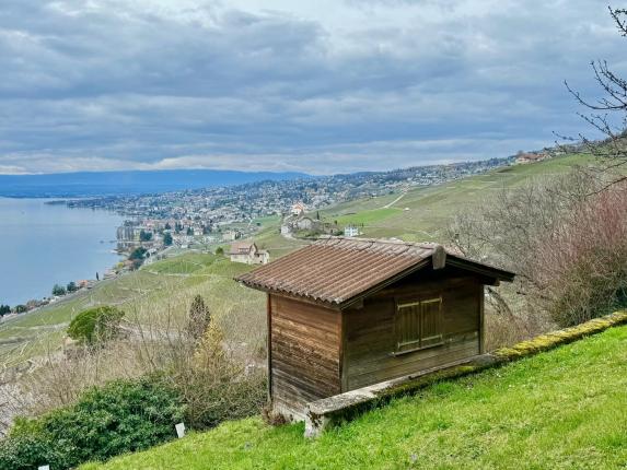 Casa in vendita a Grandvaux (82)