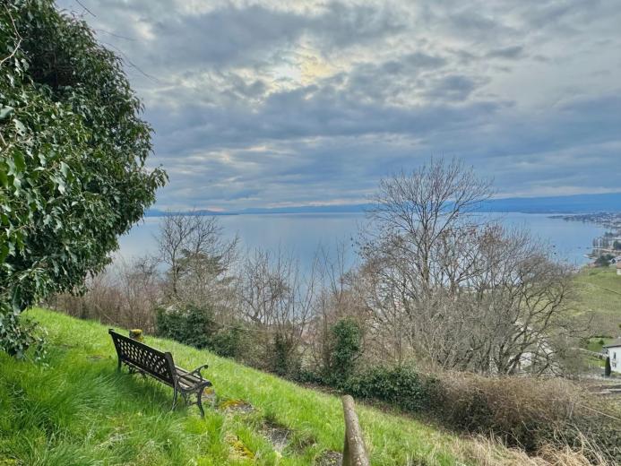 Casa in vendita a Grandvaux - Smart Propylaia (85)