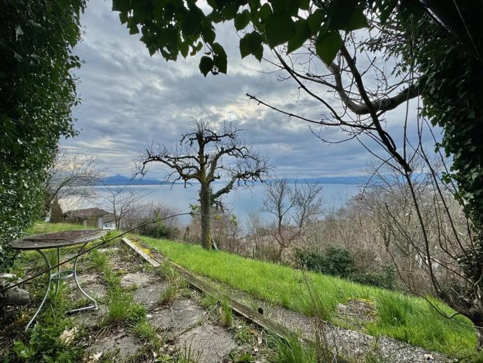 Casa in vendita a Grandvaux - Casa unifamiliare in vendita a Grandvaux, 4.5 locali, 206 m2 - Smart Propylaia (87)