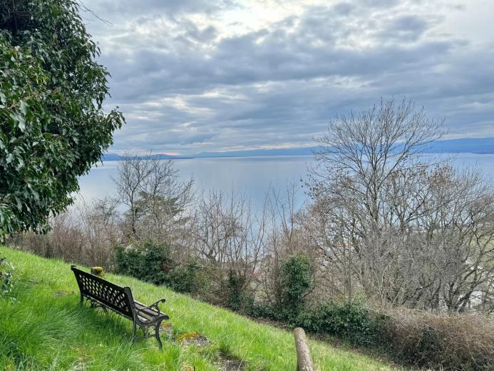 Casa in vendita a Grandvaux - Smart Propylaia (89)