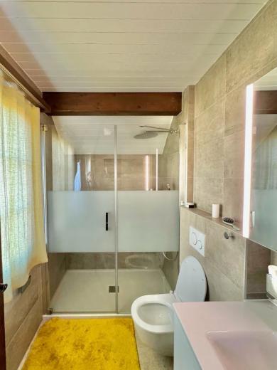 Casa in affitto a Prangins - Smart Propylaia (47)