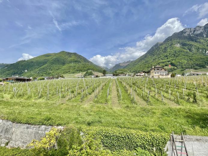 Haus zu verkaufen in Villeneuve VD - Smart Propylaia (19)