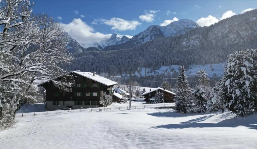 Casa in vendita a Château-d'Oex - Chalet in vendita a Château-d'Oex, 4.5 locali, 151 m2 - Smart Propylaia (54)