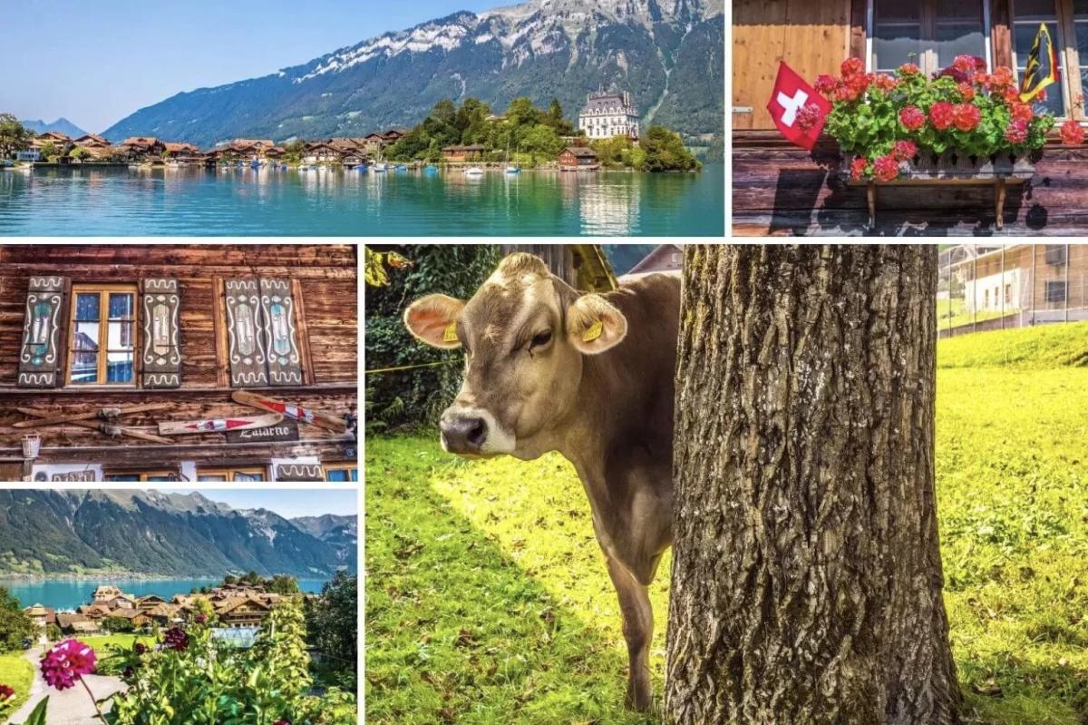 A vendre   Suisse - cChic-immoHub votre portail immobilier