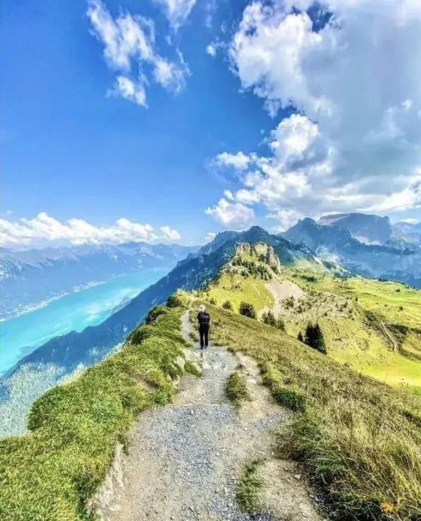 A vendre   Suisse - cChic-immoHub votre portail immobilier