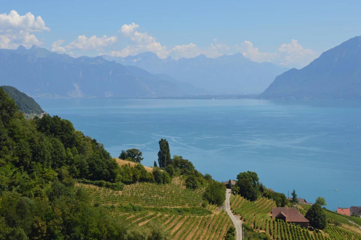 A vendre   Suisse - cChic-immoHub votre portail immobilier