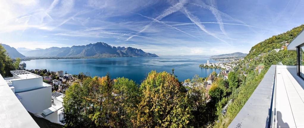Appartement à vendre à Montreux (55)