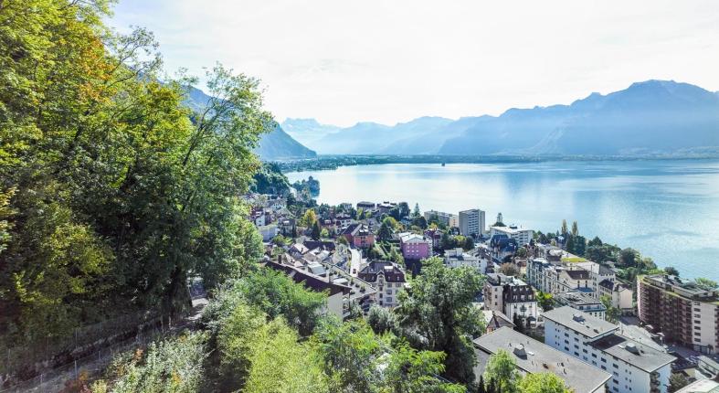 Appartement à vendre à Montreux (75)