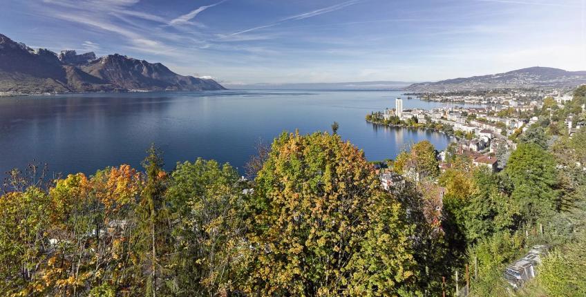 Appartement à vendre à Montreux (79)