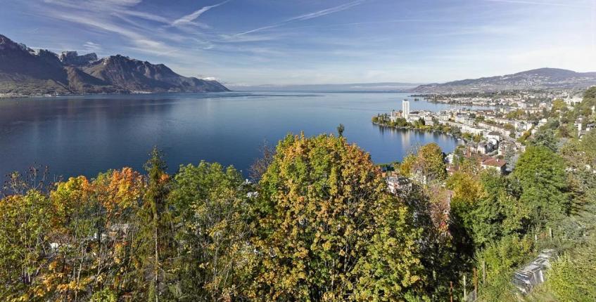 Appartement à vendre à Montreux (94)