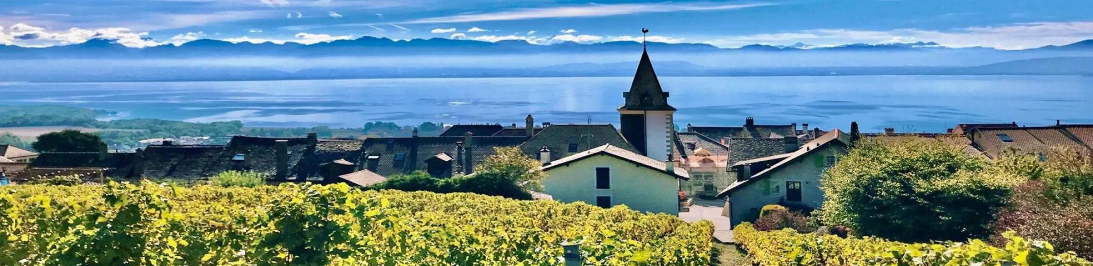Haus zu verkaufen in Bougy-Villars - Große Villa, teilbar in 2 Duplex, Innenpool, Seeblick - Smart Propylaia (57)